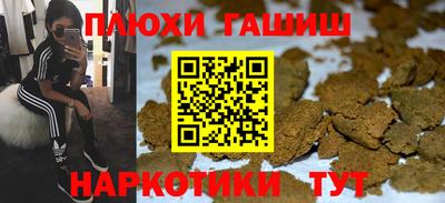 сатива Будённовск