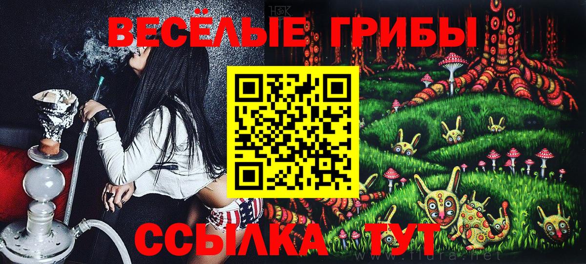 Галлюциногенные грибы Cubensis  Вход с VPN  Комсомольск-на-Амуре 