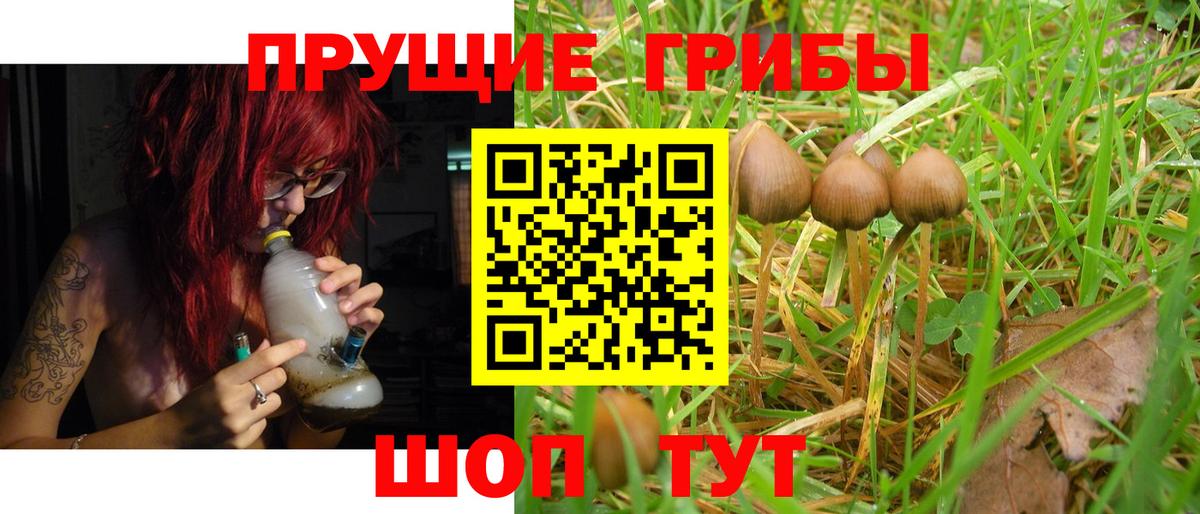 Галлюциногенные грибы Cubensis Комсомольск-на-Амуре